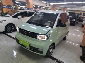 五菱汽车 宏光MINIEV 2021款 马卡龙臻享款 磷酸铁锂