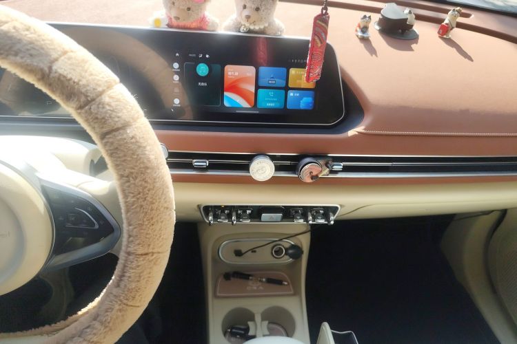 欧拉好猫 2023款 401km标准续航 豪华型 磷酸铁锂中控内饰16