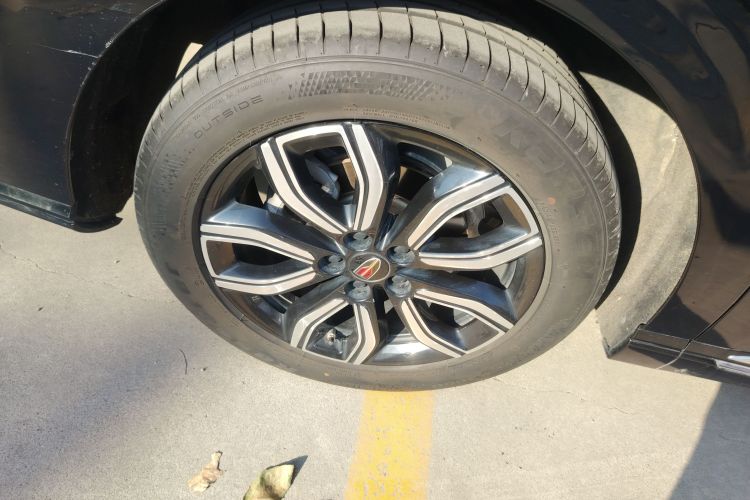 红旗HQ9 2023款 2.0T 智联旗韵版车身外观6008