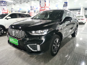 魏牌 VV5 2021款 1.5T 两驱颜先锋