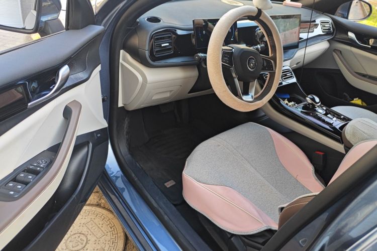 比亚迪 秦PLUS 2024款 荣耀版 DM-i 55KM领先型中控内饰20