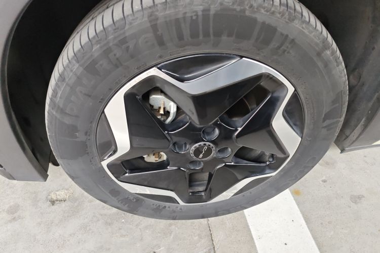 比亚迪 海豚 2021款 405km 时尚版车身外观6007