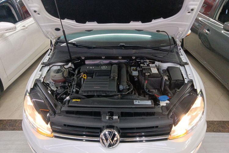 大众 高尔夫 2019款 280TSI DSG舒适型 国VI机舱底盘24