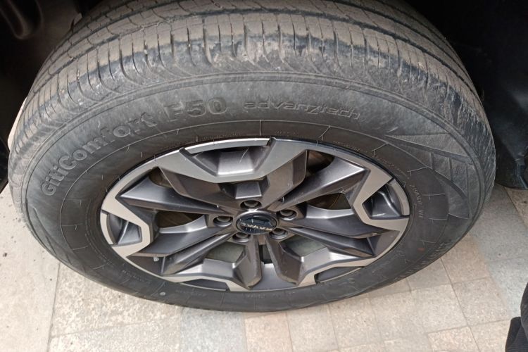 哈弗大狗 2024款 2.0T DCT中华田园犬版车身外观6008