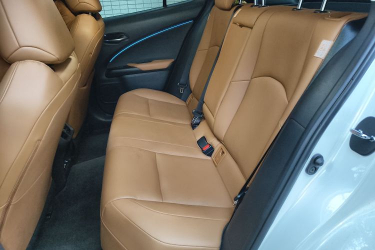 雷克萨斯UX新能源 2020款 300e 纯·悦版中控内饰21