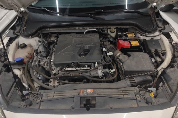 福特 福克斯 2021款 三厢 EcoBoost 180 自动锋潮型机舱底盘24