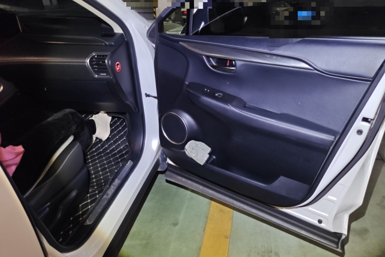 雷克萨斯NX 2017款 200 前驱 锋行版局部细节9005