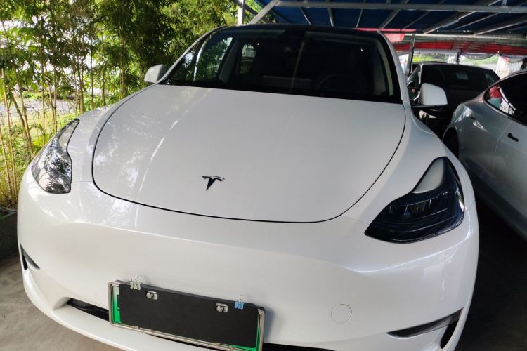 特斯拉 Model Y 2021款 长续航全轮驱动版车身外观6001