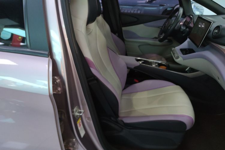 比亚迪 海豚 2021款 401km 骑士版局部细节41