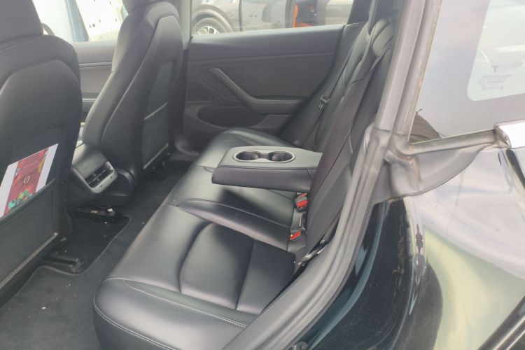 特斯拉 Model 3(进口) 2019款 长续航后驱版中控内饰21