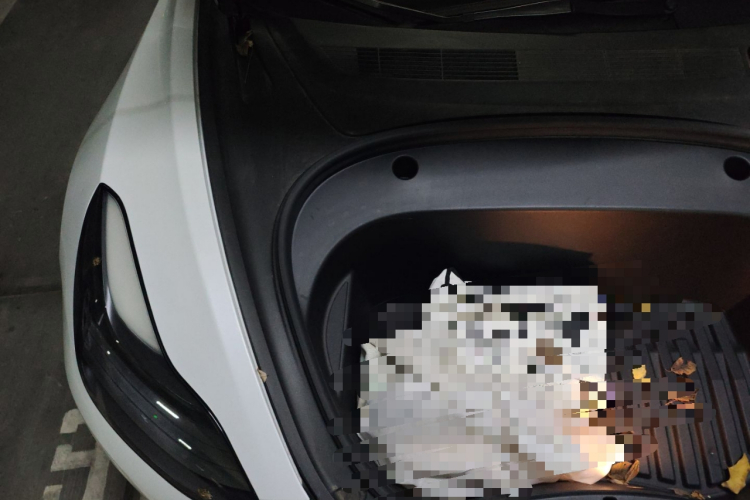 特斯拉 Model 3 2021款 标准续航后驱升级版局部细节9006