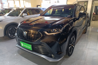 丰田 皇冠陆放 2023款 2.5L HEV四驱尊贵版