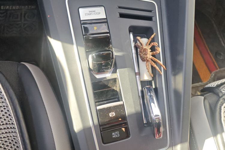 大众 高尔夫 2021款 280TSI DSG Pro中控内饰18