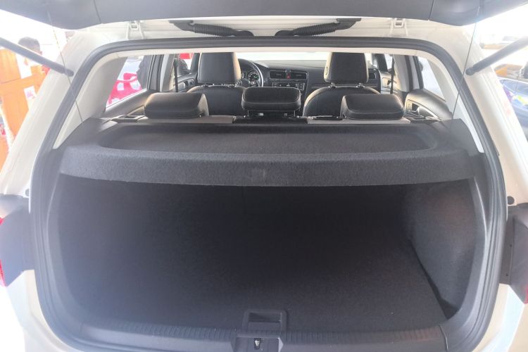 大众 高尔夫 2017款 230TSI 自动豪华百万辆纪念版局部细节23