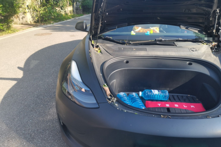 特斯拉 Model 3 2022款 后轮驱动版局部细节9006