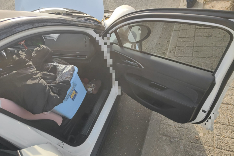 欧拉好猫 2021款 400km标准续航 维纳斯版 磷酸铁锂局部细节9005