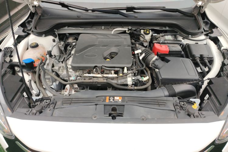 福特 福克斯 2021款 三厢 EcoBoost 180 自动锋潮型机舱底盘24