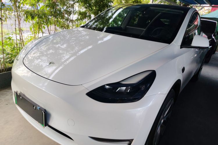 特斯拉 Model Y 2021款 长续航全轮驱动版车身外观1