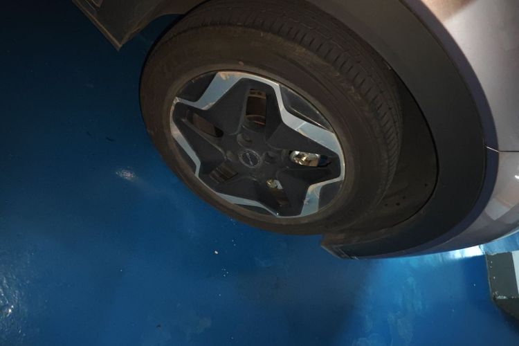 比亚迪 海豚 2021款 405km 自由版车身外观6007