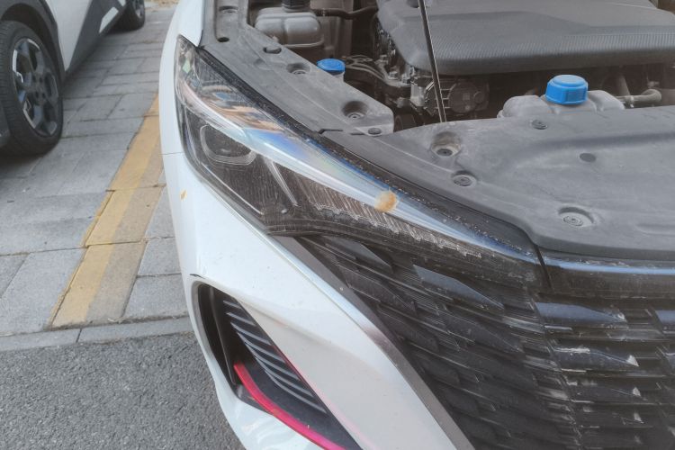 长安 逸动 2022款 PLUS 蓝鲸NE 1.4T GDI DCT尊贵版车身外观8