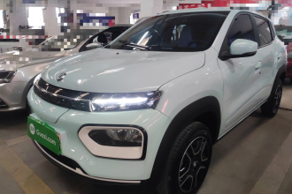 东风纳米EX1 2023款 PRO 轻风版闪电型