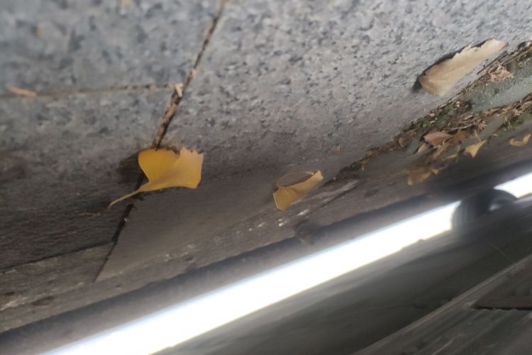 奔驰EQE 2022款 350 先型特别版局部细节9003