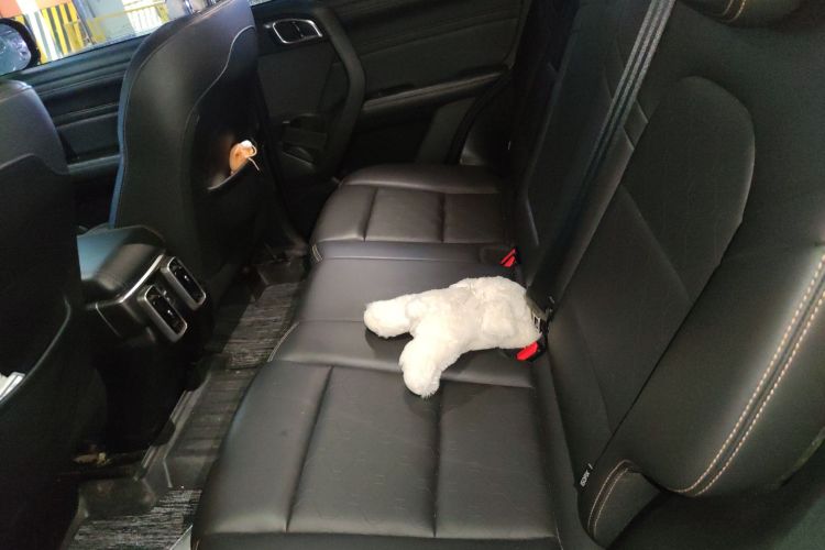 哈弗大狗 2021款 1.5T DCT两驱拉布拉多版中控内饰7004