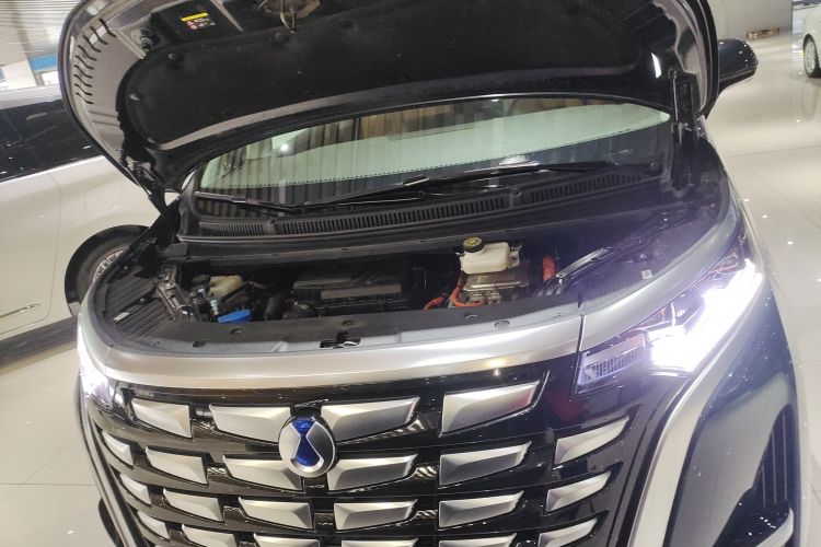 腾势D9 2022款 DM-i 1040 尊贵型局部细节24