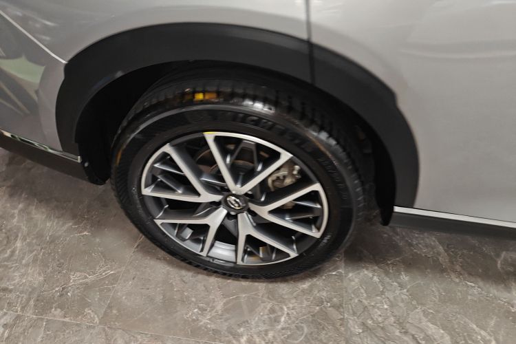 广汽传祺 传祺GS8 2022款 领航系列 2.0TGDI 四驱豪华智联版（六座）车身外观6008