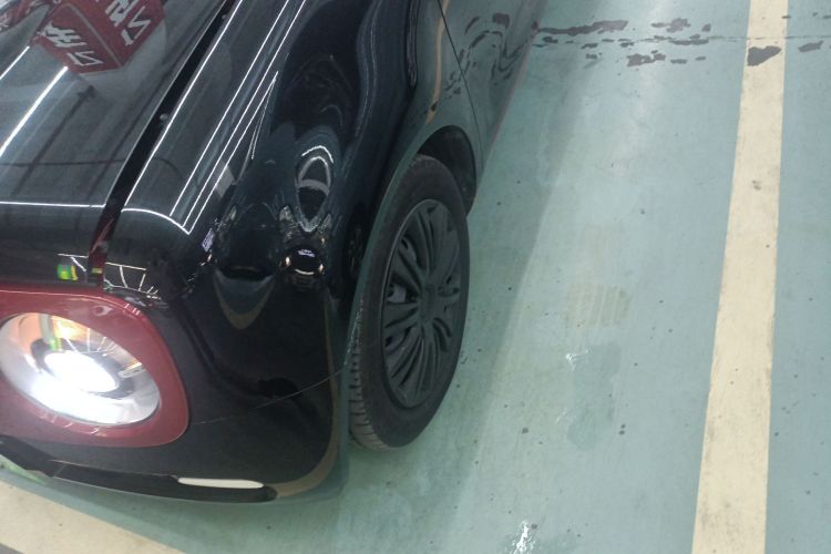 欧拉黑猫 2019款 301km 标准版车身外观6007