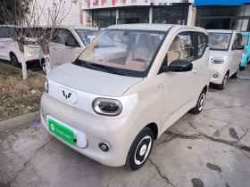 五菱汽车 宏光MINIEV 2024款 第三代 215km 青春版