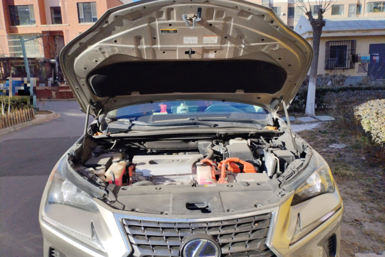 雷克萨斯NX 2020款 300h 前驱 锋尚版 国VI局部细节24