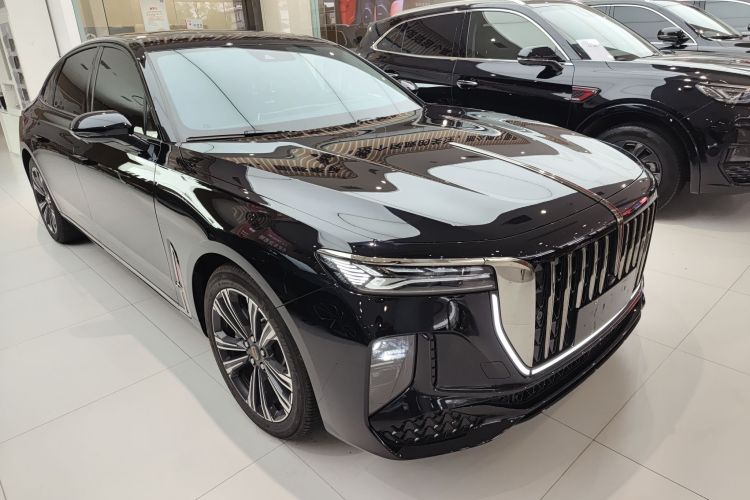 红旗H9 2024款 2.0T 旗享 私享风尚版车身外观6002