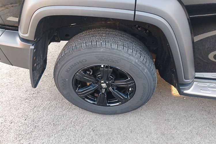 坦克300 2024款 2.0T 征服者车身外观6008