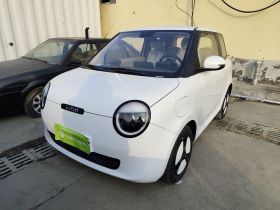 长安启源 长安Lumin 2023款 301km 蜜沁款