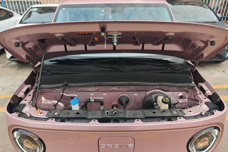 吉利银河 2024款 改款 熊猫mini 200km 龙腾版机舱底盘24