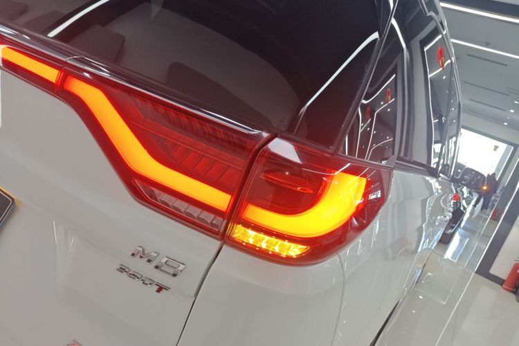 广汽传祺 传祺M8 2020款 领航款 390T 尊贵版车身外观9