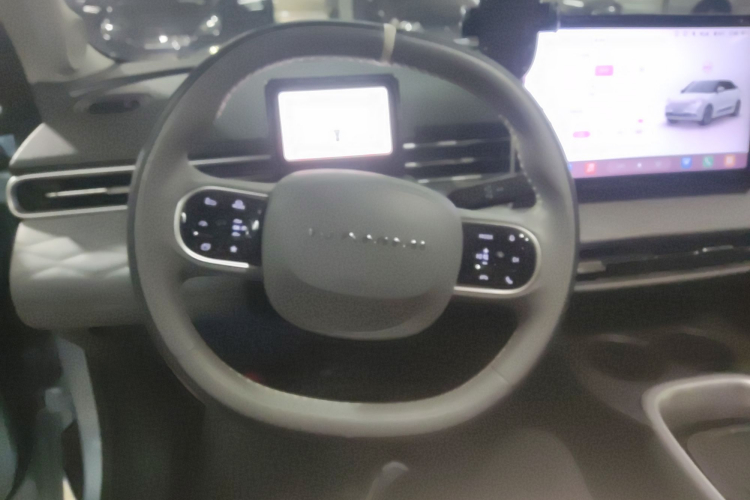 东风纳米 纳米01 2024款 430 Plus局部细节13