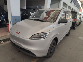 五菱汽车 五菱宏光新能源 2024款 纯电版 300KM 实用型