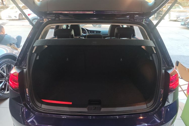 大众 高尔夫 2018款  230TSI 自动豪华型局部细节23