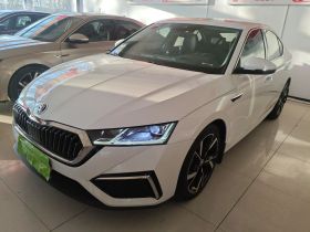 斯柯达 明锐 2021款 PRO TSI280 DSG尊贵版