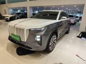 红旗E-HS9 2021款 510km 旗领版 四座