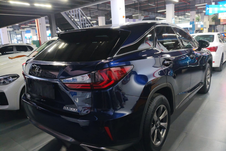 雷克萨斯RX 2016款 300 两驱精英版 国V车身外观7