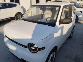 吉利银河 熊猫 2025款 210km 元气熊