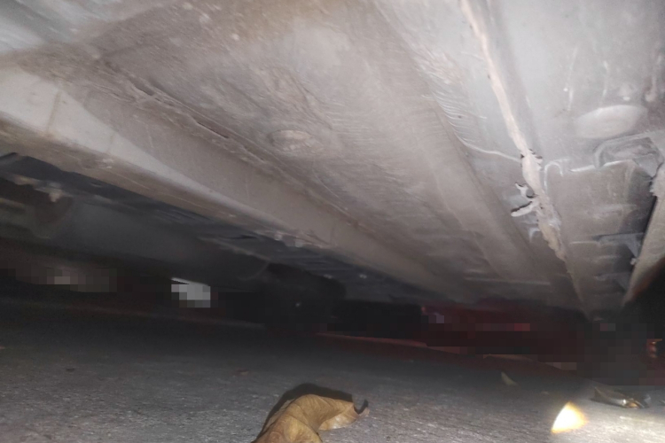 长安 逸动 2020款 PLUS 蓝鲸NE 1.4T GDI DCT旗舰型局部细节9004