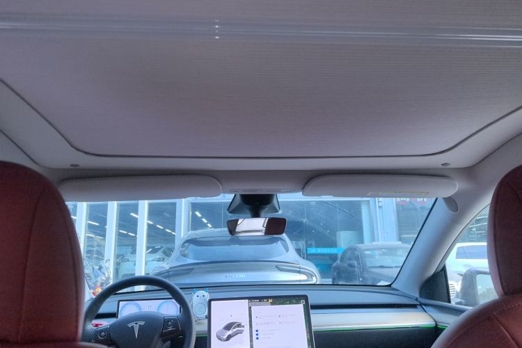 特斯拉 Model Y 2021款 Performance高性能全轮驱动版中控内饰22