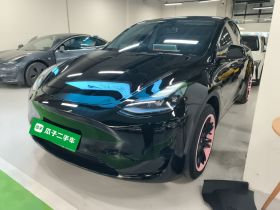特斯拉 Model Y 2023款 后轮驱动版