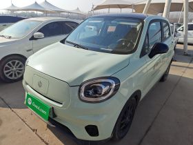 零跑汽车 零跑T03 2024款 403舒享版