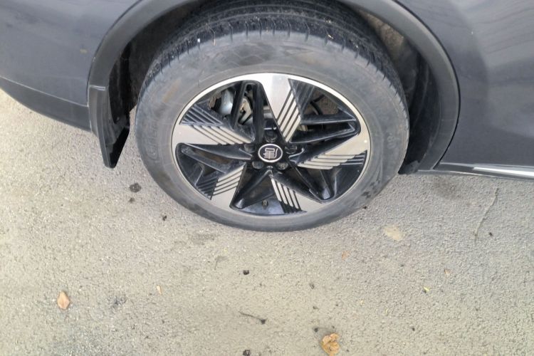 比亚迪 唐新能源 2024款 DM-i 荣耀版 112KM 尊贵型车身外观6008