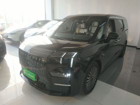 极氪009 2022款 WE版